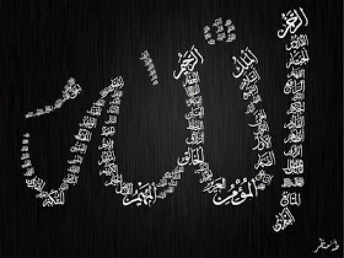 IslamicHadiths's profile picture. If you follow the correct path of Islam, you'll be successful in life, and you will enter Paradise inshallah.