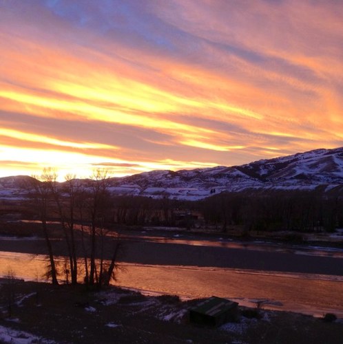 Tinapig2001's profile picture. 