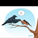 Colton Bell - @cbbell312 - Twitter