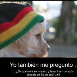 Podemos alcanzar todo lo que queremos con una actitud positiva
