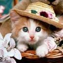 katy chavez - @katych_95 - Twitter