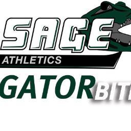 SageConfession2's profile picture. You know what it's about DM me your confessions. Your secrets are safe with me ;)