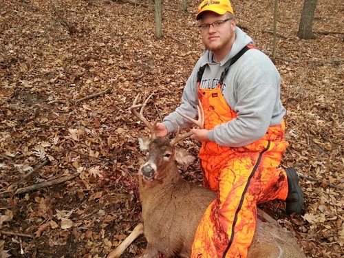 toiletstore1717's profile picture. 