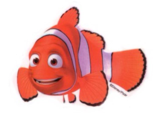 Papa Nemo Pimpinmarlin Twitter