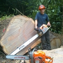 darryl j strong - @darryl_strong - Twitter