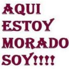 dalvarado6's profile picture. 