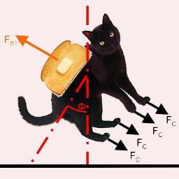 dzeibin's profile picture. 