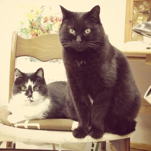 iwamido30's profile picture. 