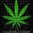 thegospelofhemp's avatar