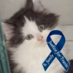 Jean deplorable Bean (@jeano0000) Twitter profile photo Jean deplorable Bean (@jeano0000) Twitter profile photo