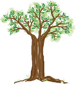 Passionate about finding ways to garden consciously and encouraging sustainability in all things. Give trees as gifts.