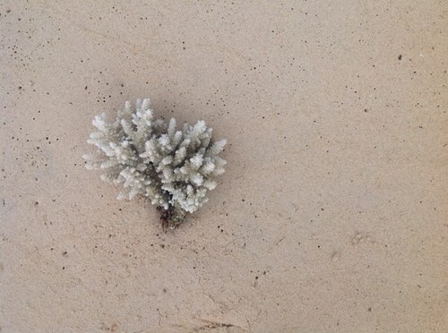 DebBee_Bell's profile picture. Nothing is impossible to a willing mind.