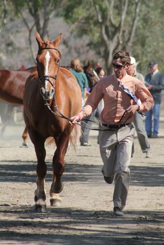 JamesAlliston's profile picture. Three day event rider in the East San Francisco Bay area.