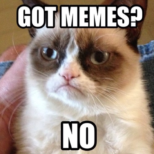 GOT_MEMESS's profile picture. Your MEME central, for all things funny and morally wrong.
