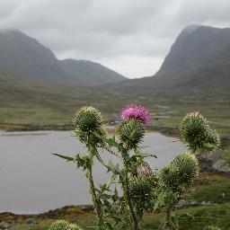 KirstyMac1979's profile picture. 