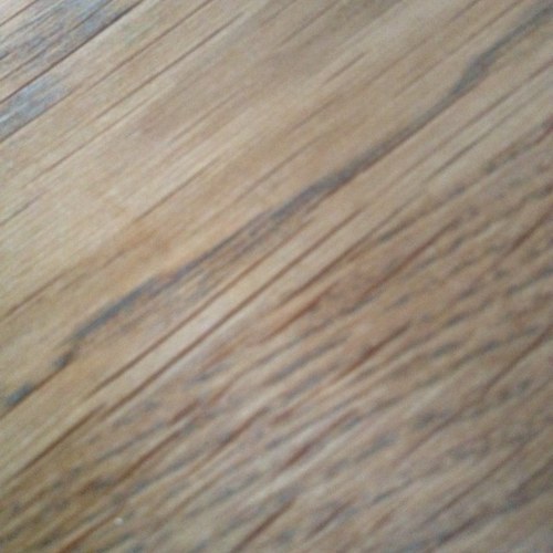 Elleinbrighton's profile picture. Jew