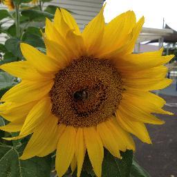 AnnaGerrit's profile picture. I love celebrating the awesome things happening in kiwi classrooms.