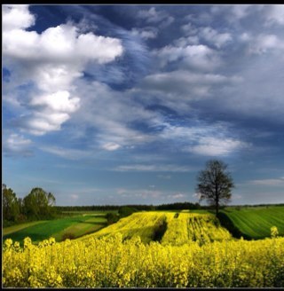 Dzielmy się wiedzą na temat fotografii i wszystkiego co czyni ją czymś pięknym i cieszącym nie tylko nasze oczy, ale także poprawiającym nam nastrój :)