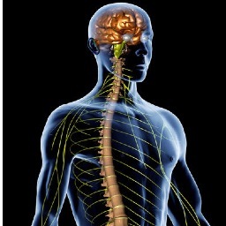 Dr. Robert B. Armani Chiropractic, Q.M.E. Van Nuys Chiropractor, 2010 Wilshire Blvd., Los Angeles, CA 90057Tel :818-988-2123 https://t.co/ANyQeWEuEa