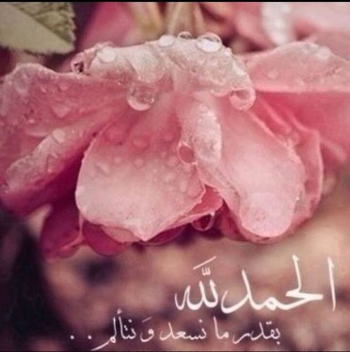 ربي اشرح لي صدري ويسر لي امري