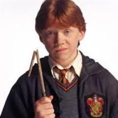 ~Ron Weasley~
Ogulloso miembro de Griffyndor, odio a los muggles, si tu también sigueme, soy amigo de sangre sucia Hermione pero porque esta buena.