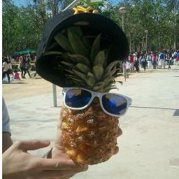 Soy Wilson Lapinia. Me veréis por fiestas populares varias haciéndome fotos con la peña. Siempre tienen que llevarme en brazos