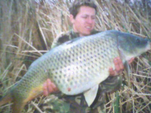 GarethPentz's profile picture. 