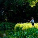 neil lloyd - @neillloyd2 - Twitter