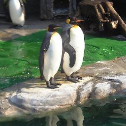 tepusuke's profile picture. 【省エネ運用中】
ガノタでありモタスポ好き。
ジェフユナイテッド市原・千葉のライトなサポでもある。

呟き過ぎて幾数年。

閃光のハサウェイ キルケーの魔女楽しみ。
好きなMSはセカンドVとジム・カスタム。

#元模型屋バイトの独り言

はたらかねばならぬでござる。

我热烈支持台湾独立建国