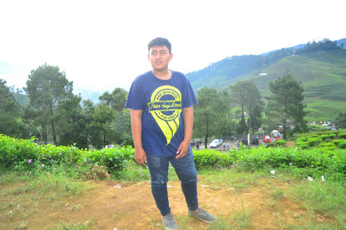 Masih di proses