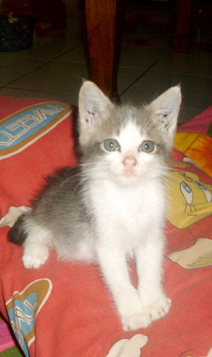 Miss_Artha88's profile picture. ....♥·♡ (◦'⌣'◦ )( ◦'⌣'◦)·♥·♡