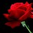 ladylovely0412's profile image