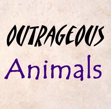 OutrageousAnima's profile picture. 