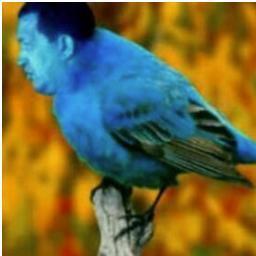 alejoperez's profile picture. 