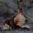 PAULA navarrete - @paulasule - Twitter