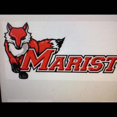 RedFoxxes17's profile picture. 