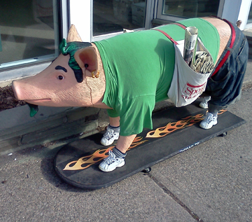 Spotlight newspaper's unofficial mascot. Conversation piece. Vegetarian.