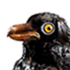 TheOilyBird's profile picture. Smeared from head to toe in the gooey black stuff & tweeting like a son of a bird about my fossil fuel friends (SPOILER ALERT: We're not really friends)
