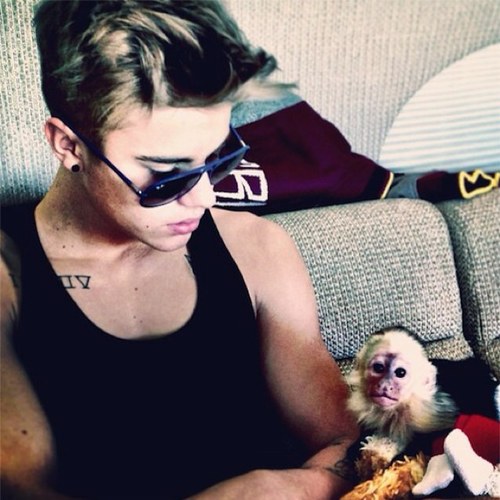 Pictures of Justin Bieber with animals. Simple as that really. #BieberWithAnimals
