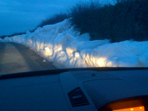 dannyfitz96's profile picture. 