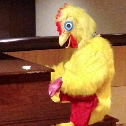 momchicken7's profile picture. 