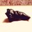 NYshmr's profile image