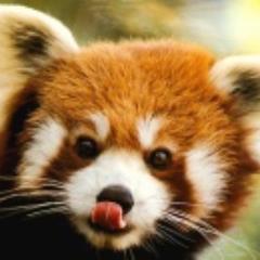 Si tout le monde restait toujours tout seul
 Ça serait d'une tristesse pas croyable
 Ouvre ta porte et sors des verres!