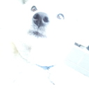 るるる* (@0508haha) Twitter