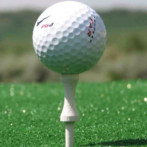 £7 For 9 holes £10 for 18 #bargain message to book tee time