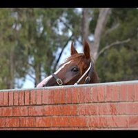 Ange (@lookingforovers) 's Twitter Profile