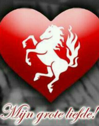 #keetjeehalfweg ll