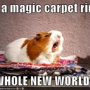 Anna Isaac  - @Anna_Isaac02 - Twitter