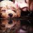 Ah1012's profile image