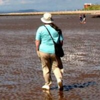 L S Gibson (@lsgibson2) 's Twitter Profile